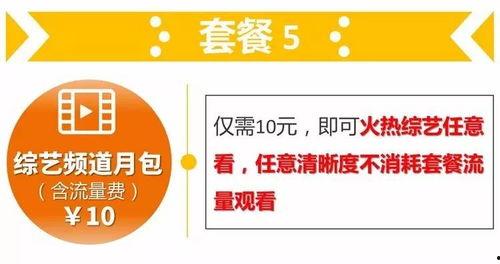 免费爽在线视频,畅享无界娱乐盛宴