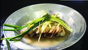 热带鱼在线视频播放