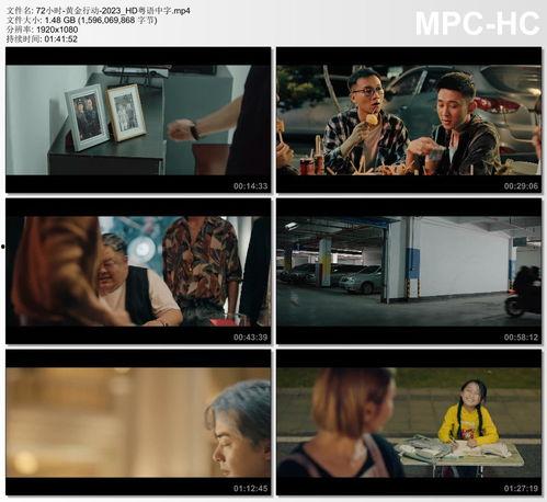 黄金调教在线视频 magnet,跟随magnet链接探索神秘领域  第2张