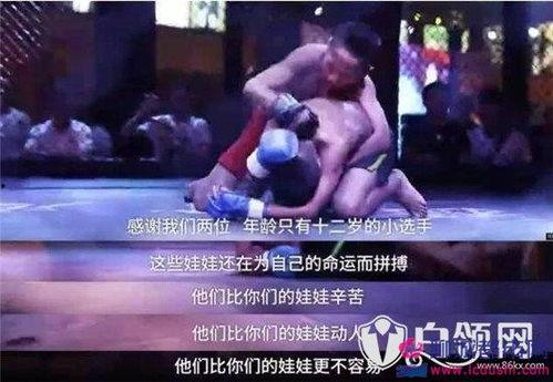 另类拳在线视频 第3张 另类拳在线视频 第3张